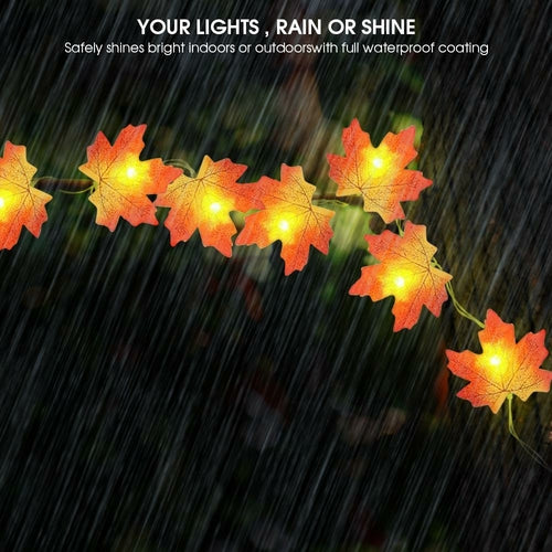 10Ft Maple Leaf String Lights Thanksgiving
